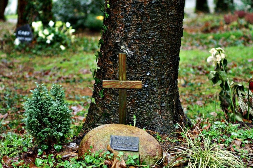 SPD Idstein strebt die Einrichtung eines Bestattungswaldes in Idstein an